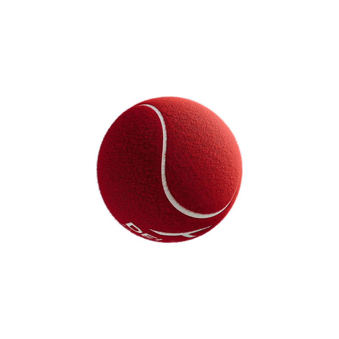 Delta 6 Heavy Cricket Tennis Balls (Pack of 6/Red)