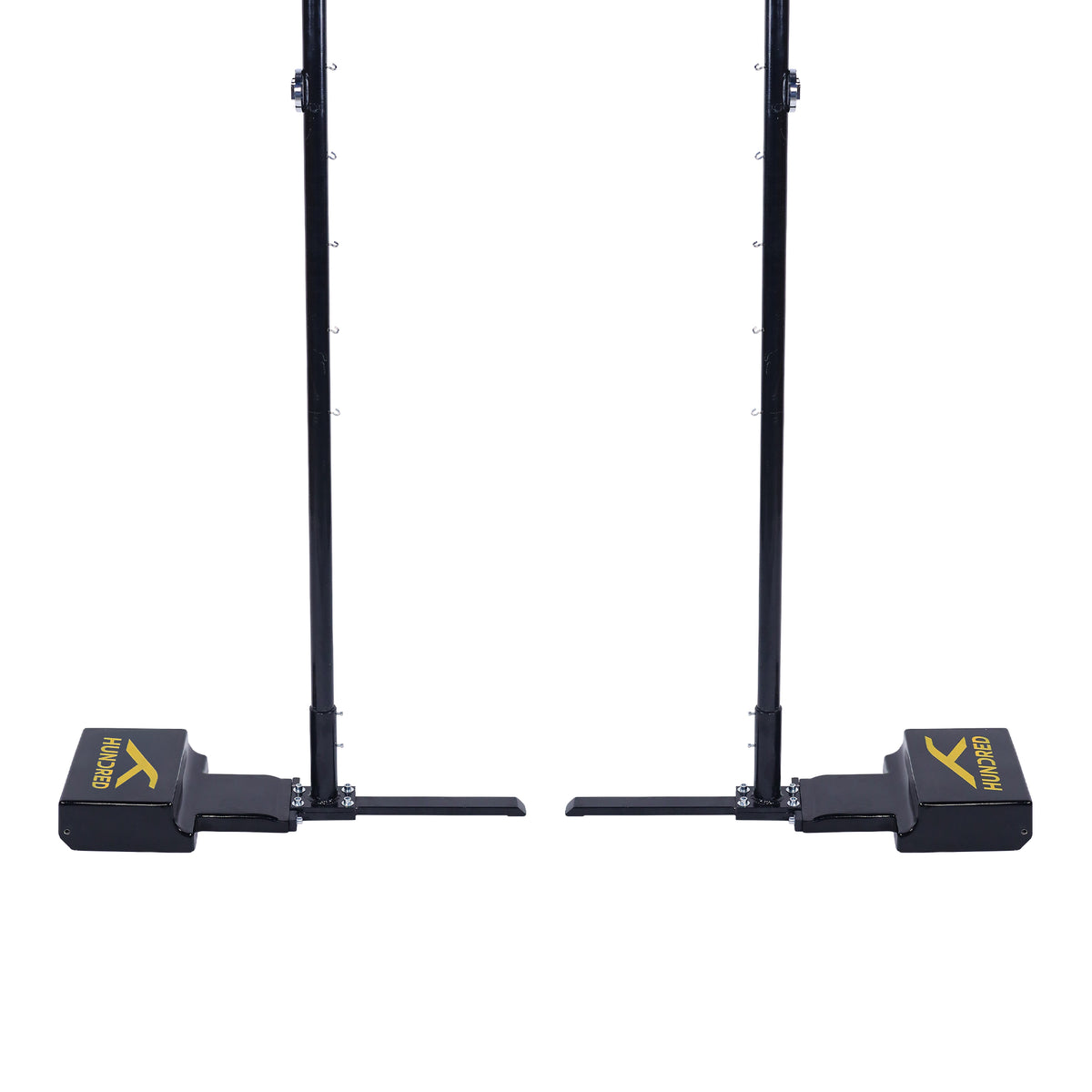 PRO-100 Net Pole
