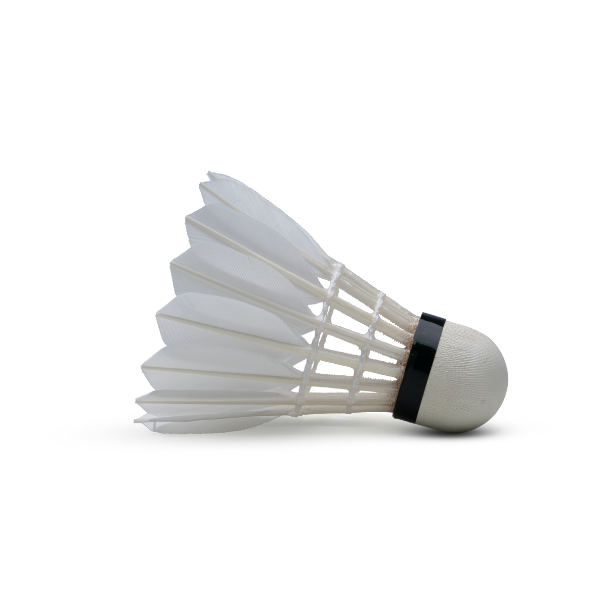 S40 Feather Shuttlecock