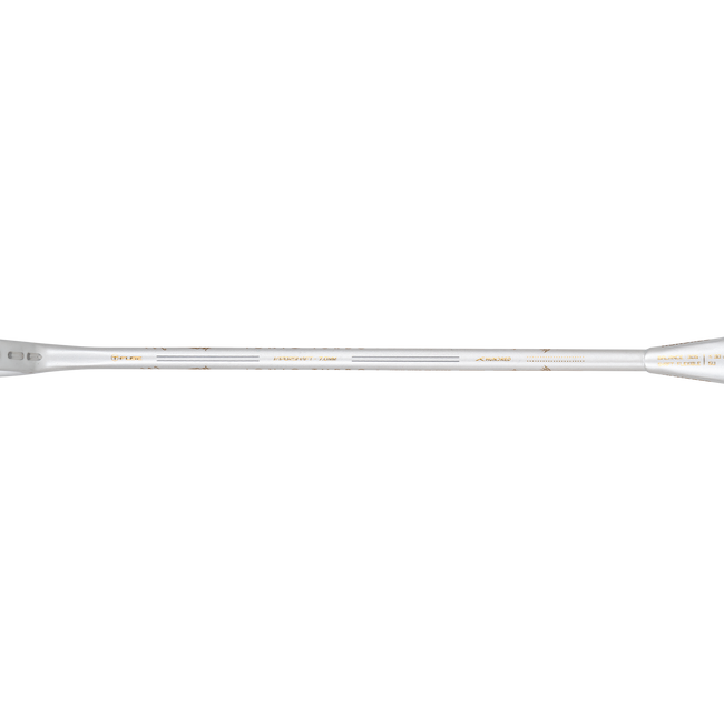 IONIQ Turbo (White)