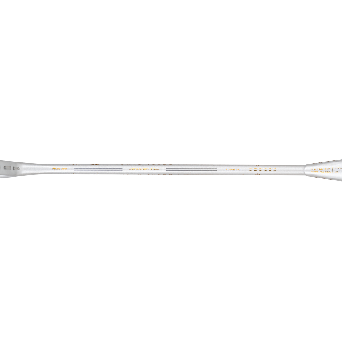 IONIQ Turbo (White)