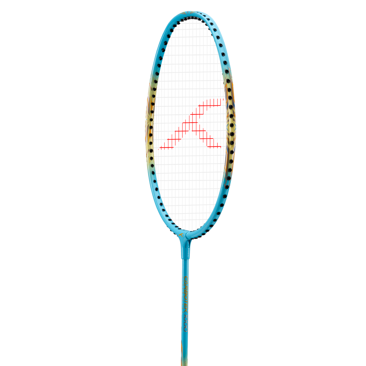 Carbotek 1000 Combo