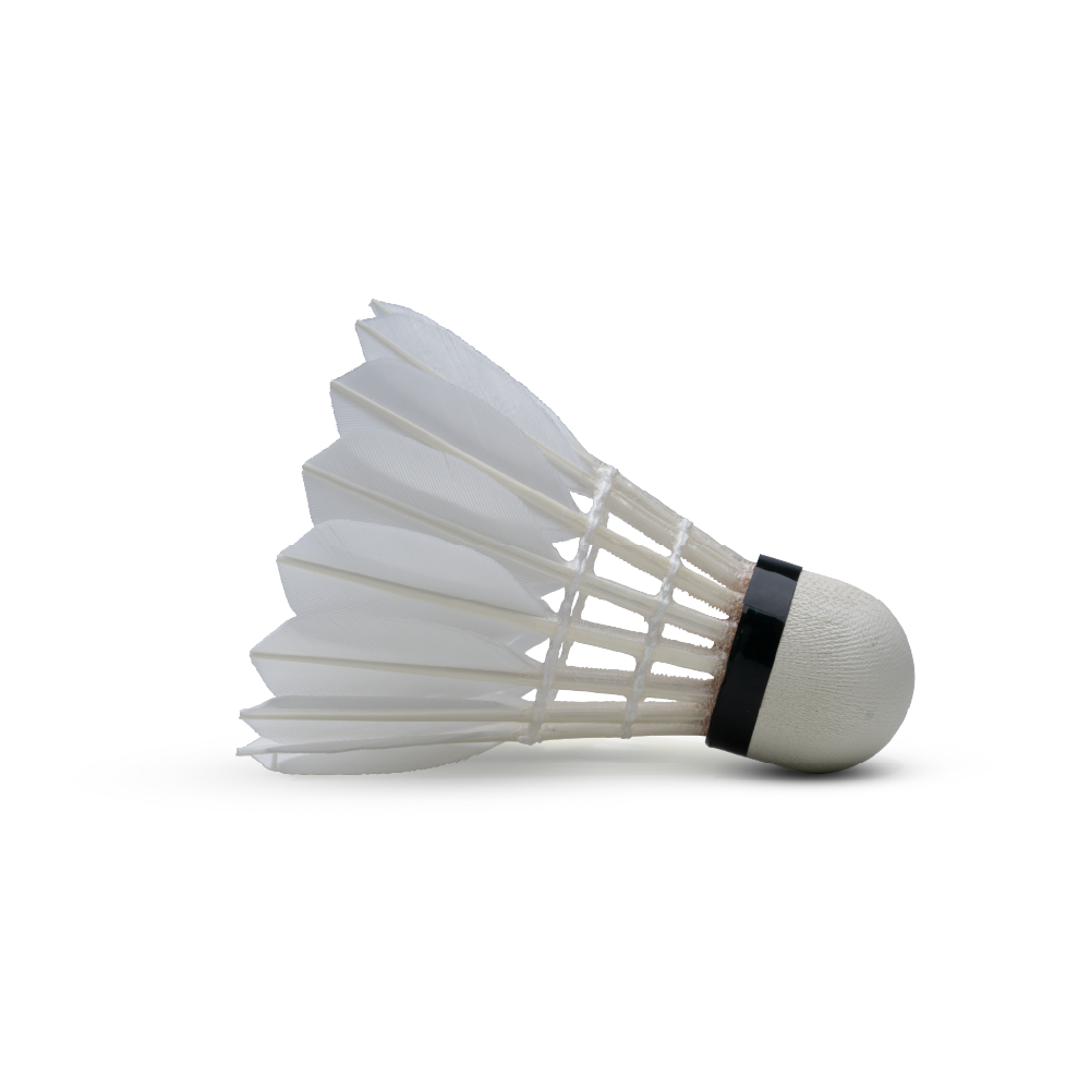 GT 6 Feather Shuttlecock