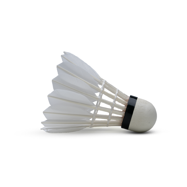 GT 6 Feather Shuttlecock