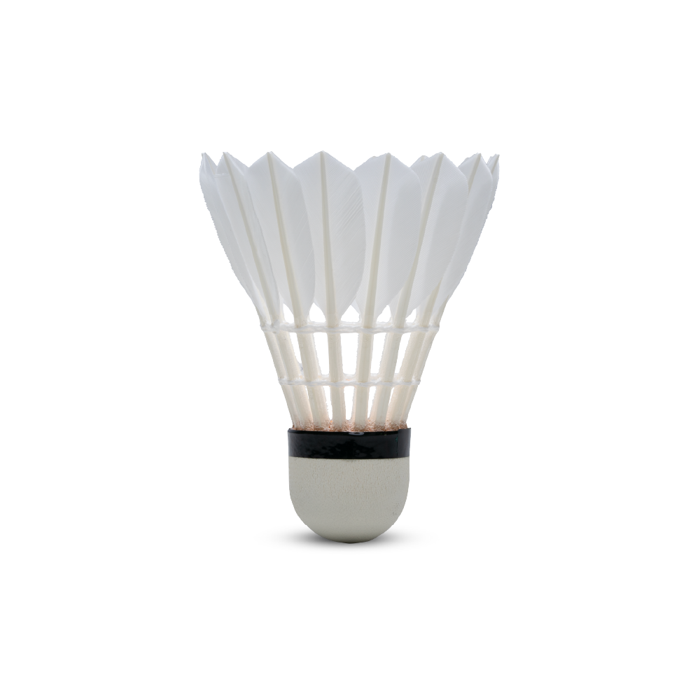 GT 50 Feather Shuttlecock