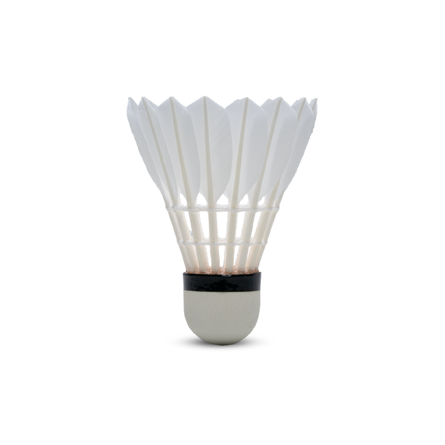 GT 50 Feather Shuttlecock