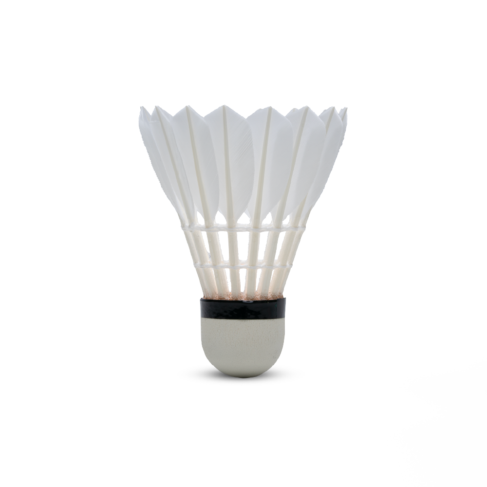 GT 8 Feather Shuttlecock