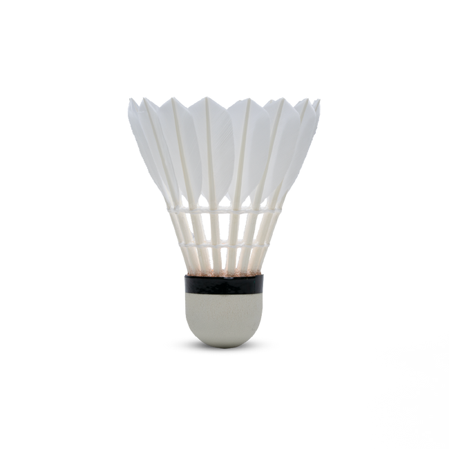 GT 8 Feather Shuttlecock