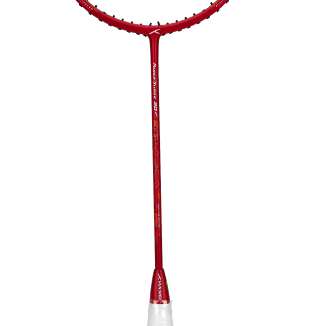 Power Surge 20