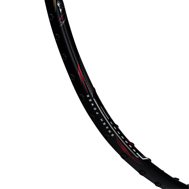 T-REX 800 - BLACK