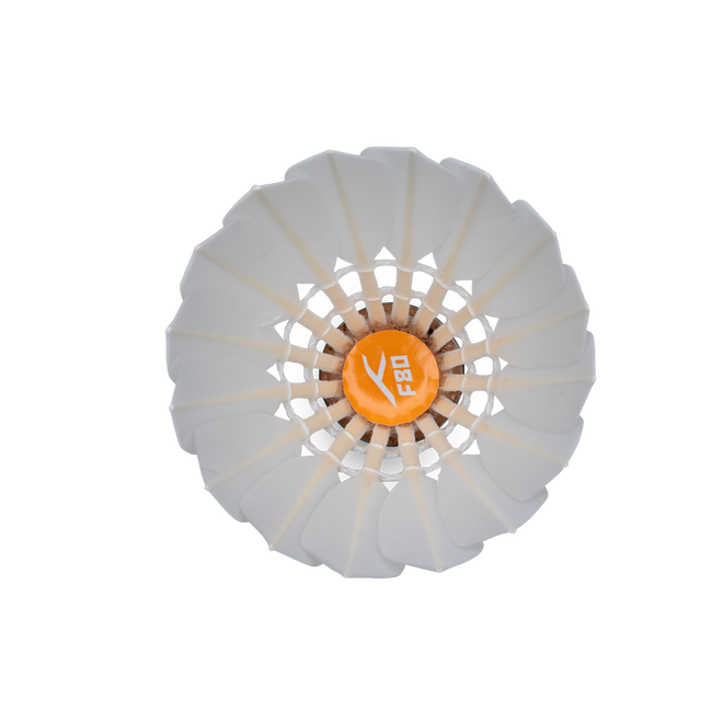 F80 Shuttlecock