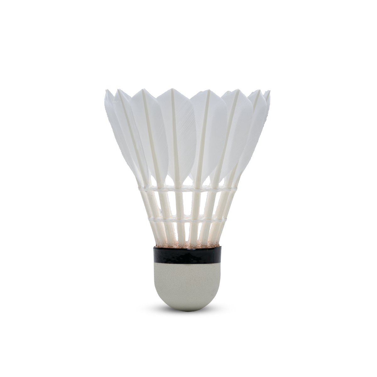 F8 Shuttlecock
