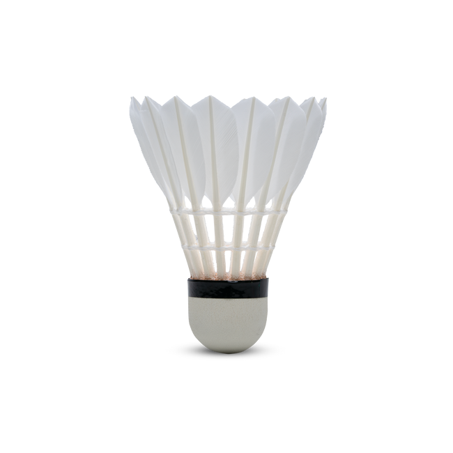 F80 Shuttlecock