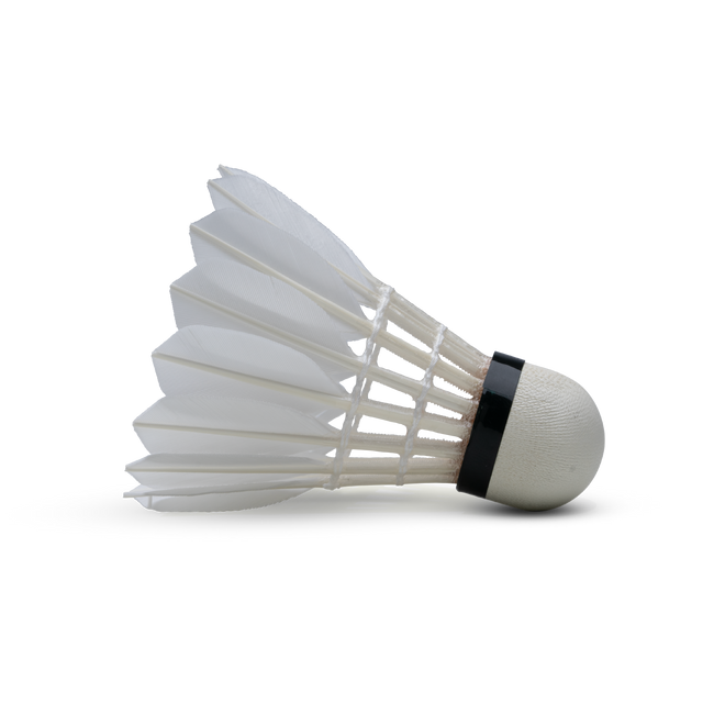F8 Shuttlecock